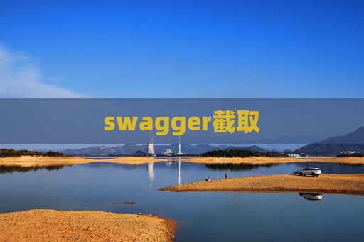 swagger截取